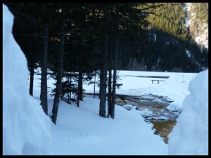 P1020264